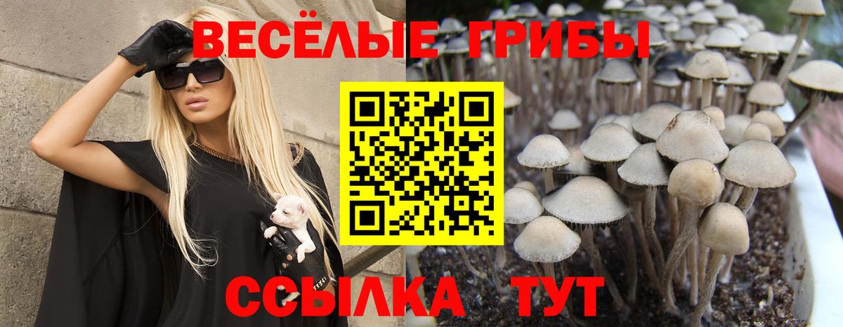 Галлюциногенные грибы прущие грибы  Псилоцибиновые грибы прущие грибы  Богородск  Вход с VPN 